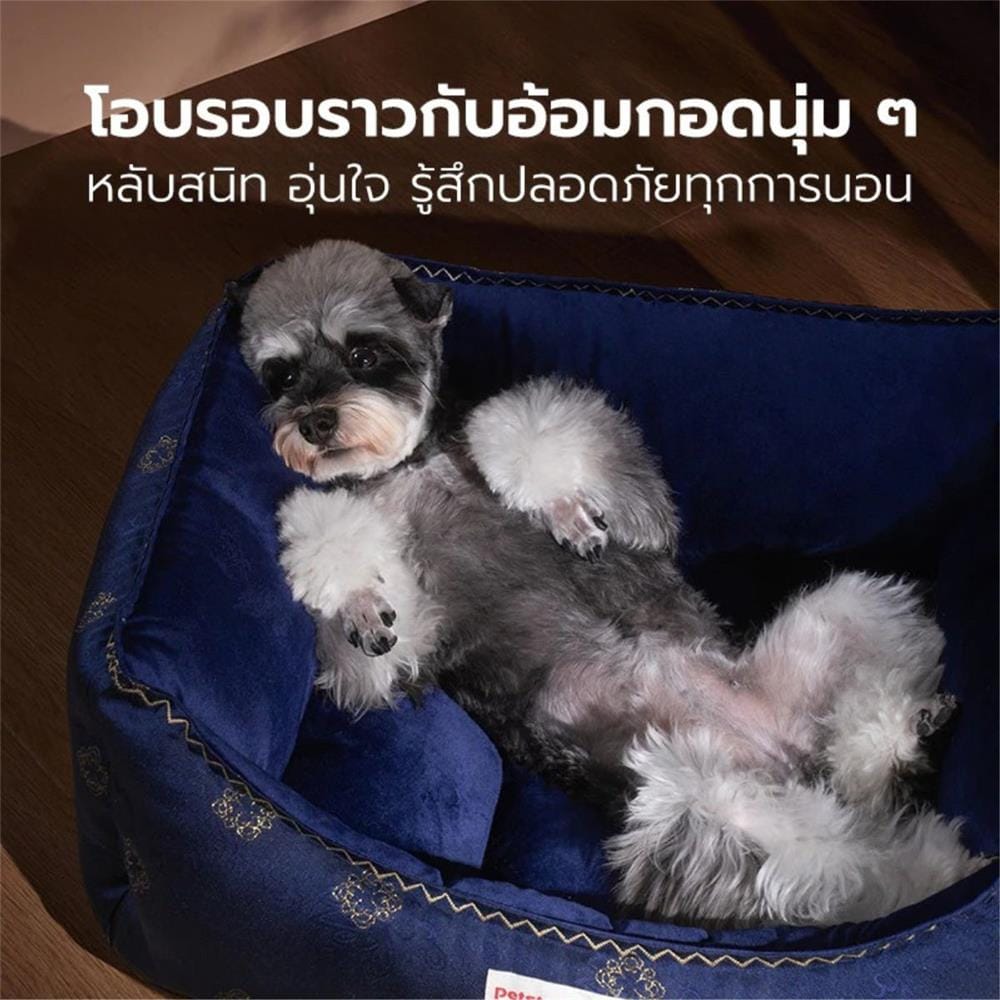 เบาะรองนั่ง PETSTAR SRW0581 ไซซ์ M สีน้ำเงิน