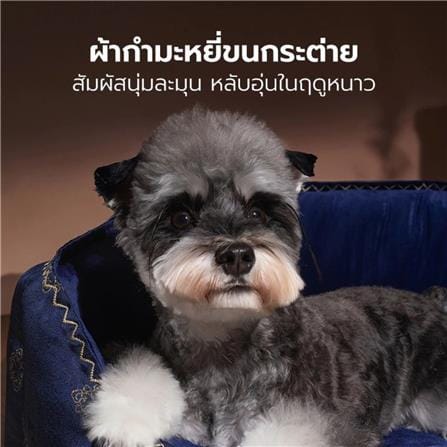 เบาะรองนั่ง PETSTAR SRW0581 ไซซ์ M สีน้ำเงิน_3