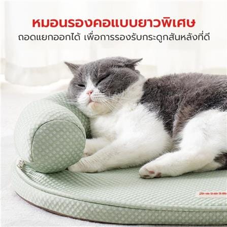 เบาะรองนั่ง PETSTAR PSRW0529 ไซซ์ M สีเขียว_3