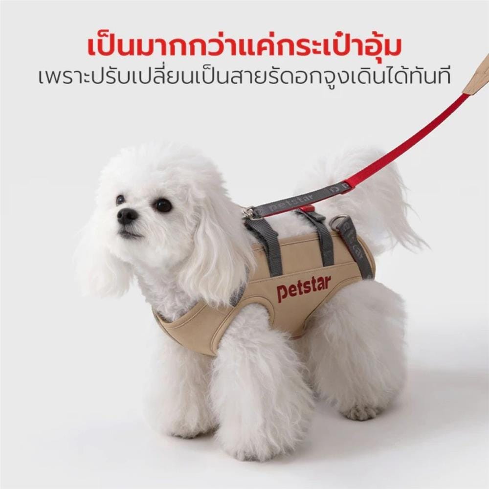 กระเป๋าสัตว์เลี้ยง PETSTAR PSRB0072 ไซซ์ S สีน้ำตาล