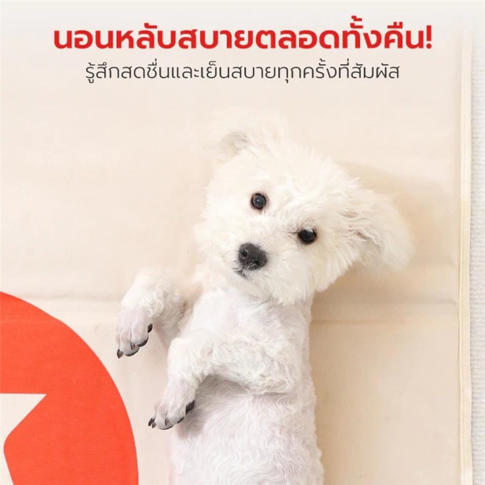 แผ่นเจลเย็น PETSTAR SRW0342 ไซซ์ L สีขาว