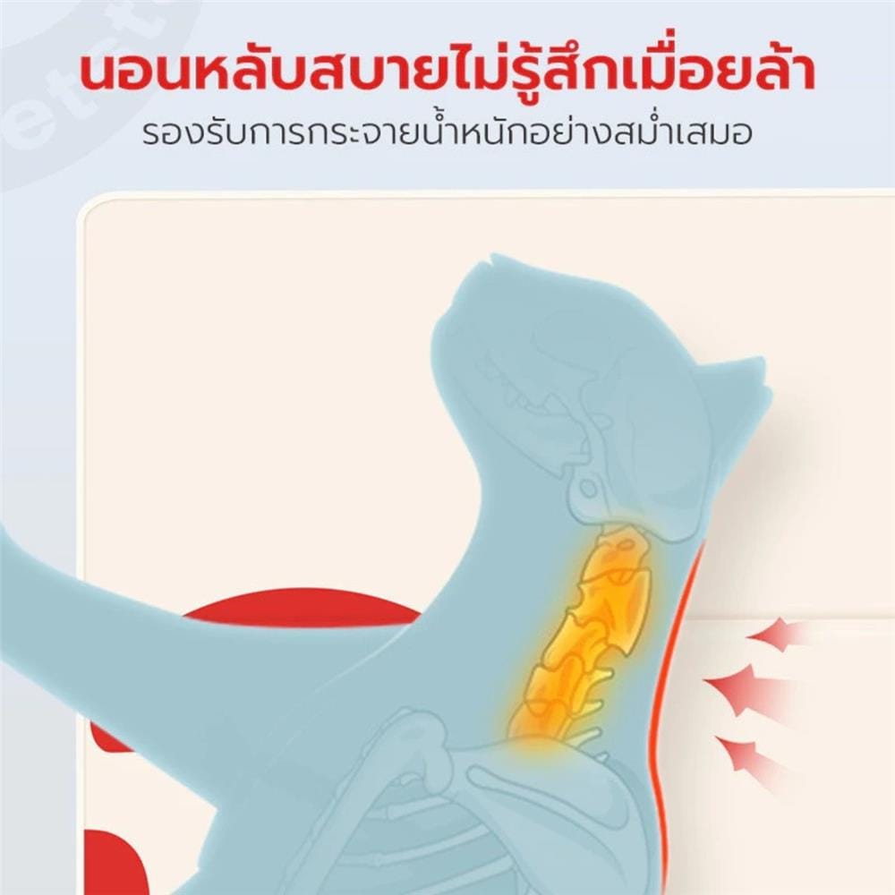แผ่นเจลเย็น PETSTAR PSRW0460 ไซซ์ M