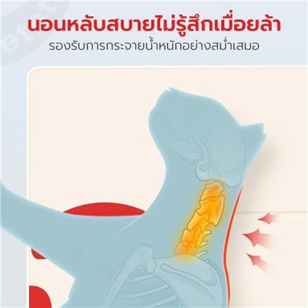 แผ่นเจลเย็น PETSTAR PSRW0460 ไซซ์ M_3