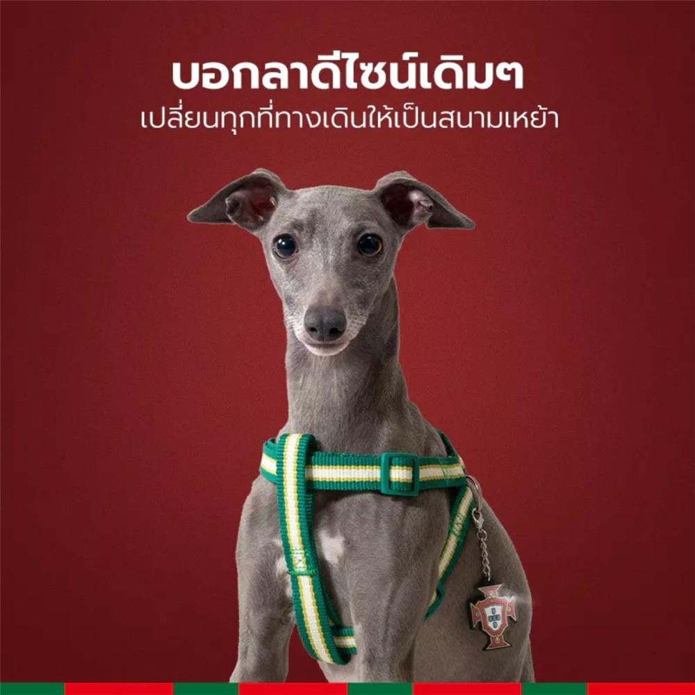 สายจูง PETSTAR SRY0092 ไซซ์ M สีดำ