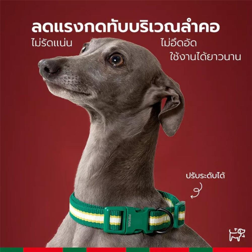 สายจูง PETSTAR SRY0092 ไซซ์ S สีเขียว