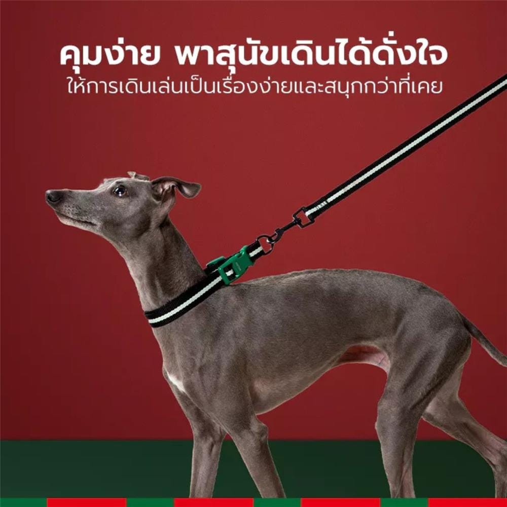 สายจูง PETSTAR SRY0092 ไซซ์ S สีเขียว