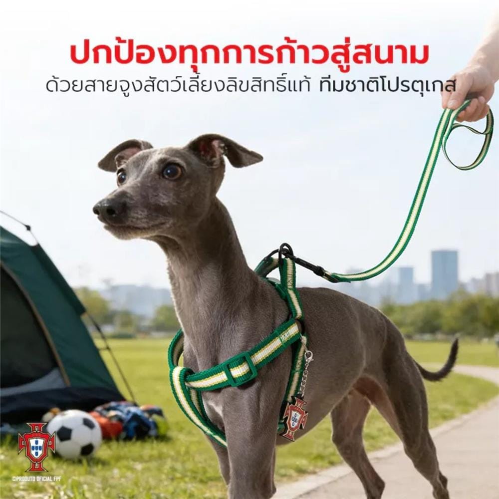 สายจูง PETSTAR SRY0092 ไซซ์ S สีเขียว