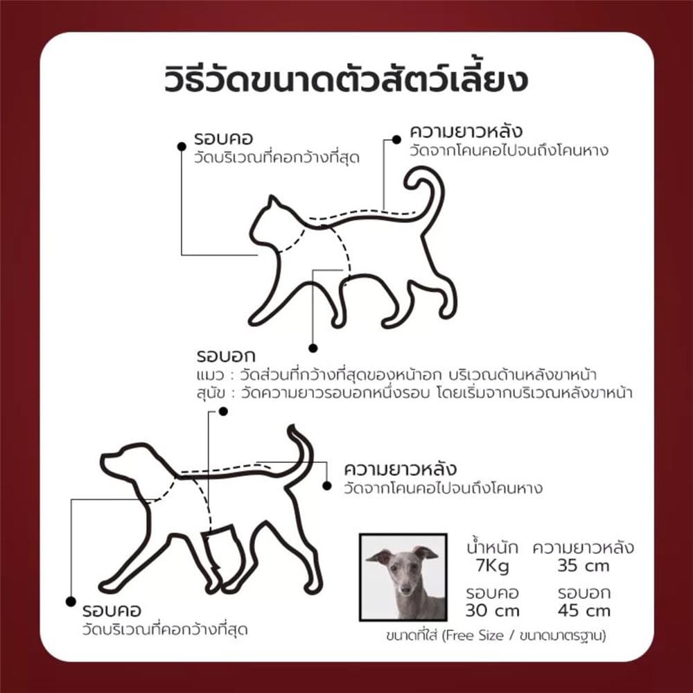 สายจูง PETSTAR SRY0092 ไซซ์ S สีเขียว