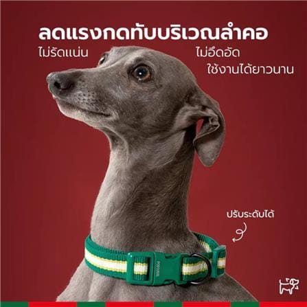 สายจูง PETSTAR SRY0092 ไซซ์ S สีเขียว_2
