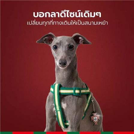 สายจูง PETSTAR SRY0092 ไซซ์ S สีเขียว_3