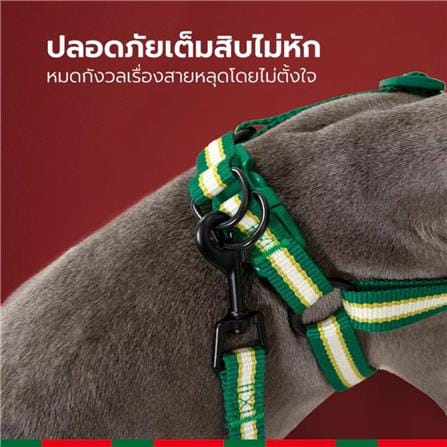 สายจูง PETSTAR SRY0092 ไซซ์ S สีเขียว_5