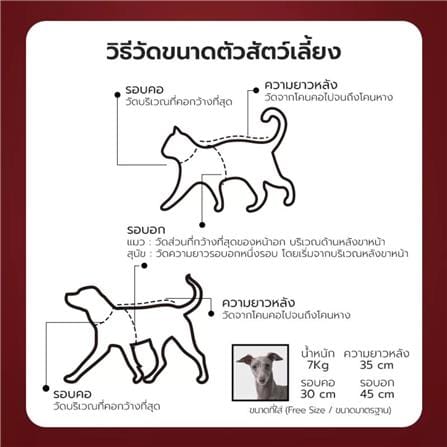 สายจูง PETSTAR SRY0092 ไซซ์ S สีเขียว_9