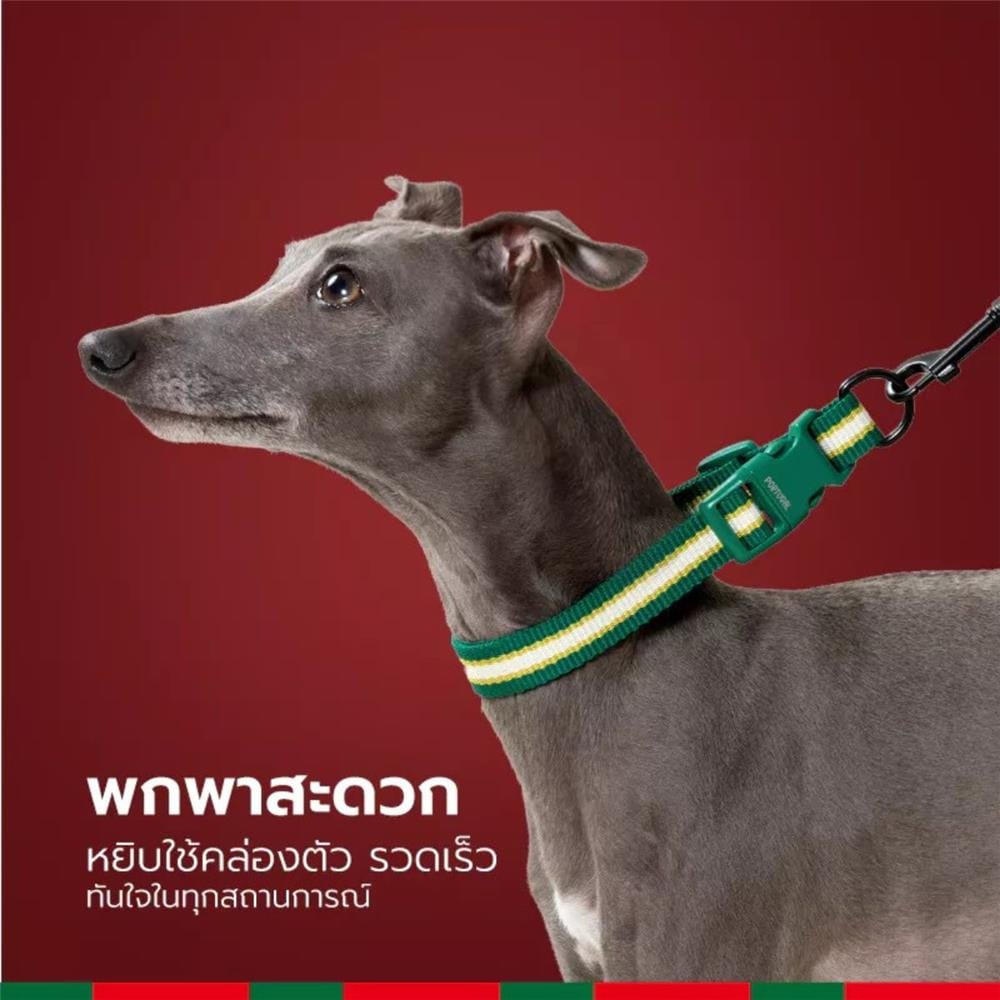 สายจูง PETSTAR SRY0092 ไซซ์ S สีดำ