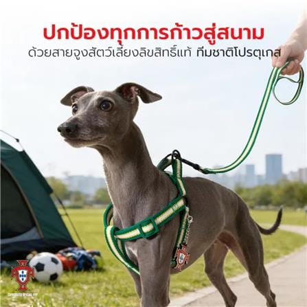 สายจูง PETSTAR SRY0092 ไซซ์ S สีดำ_8