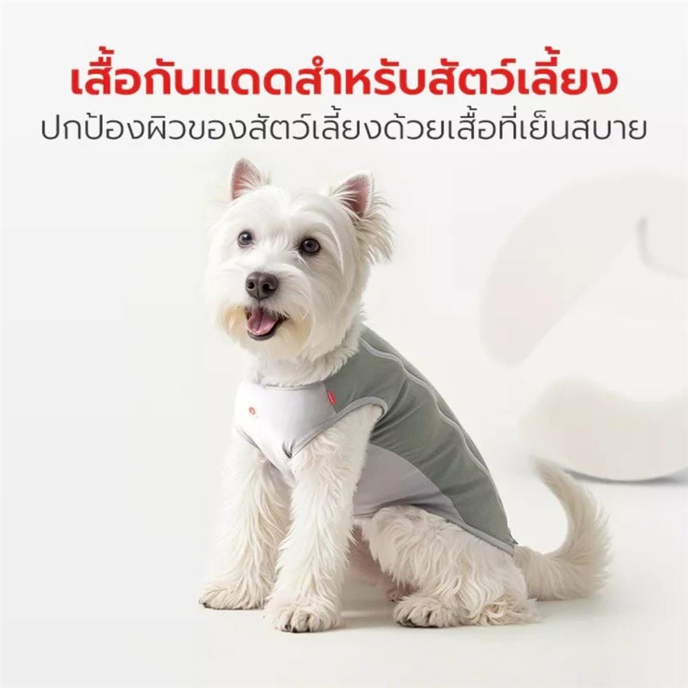 เสื้อสัตว์เลี้ยง PETSTAR PSJX0031GN ไซซ์ S สีเทา