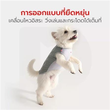 เสื้อสัตว์เลี้ยง PETSTAR PSJX0031GN ไซซ์ S สีเทา_5