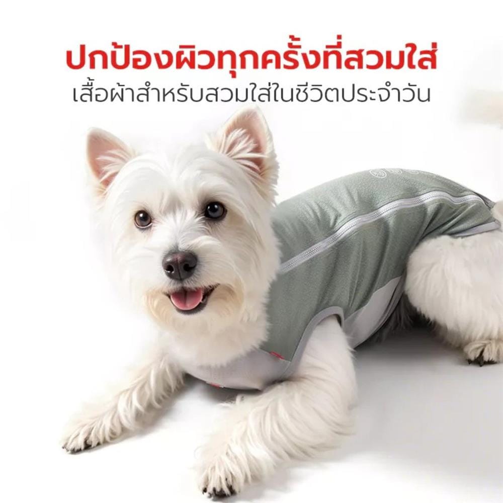 เสื้อสัตว์เลี้ยง PETSTAR PSJX0031GN ไซซ์ XXL สีเทา