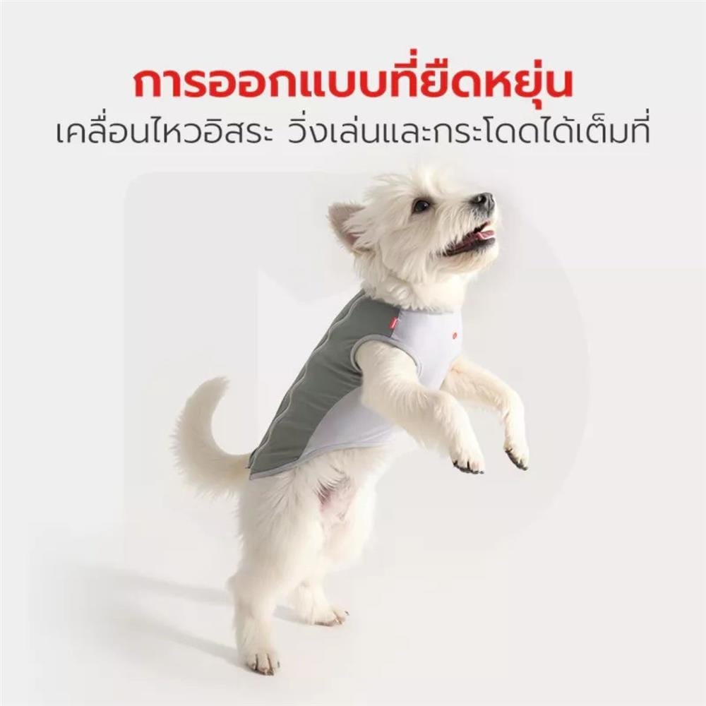 เสื้อสัตว์เลี้ยง PETSTAR PSJX0031GN ไซซ์ XXL สีเทา