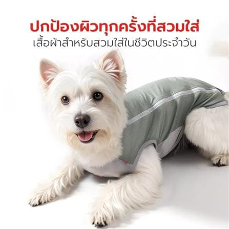 เสื้อสัตว์เลี้ยง PETSTAR PSJX0031GN ไซซ์ XXL สีเทา_3