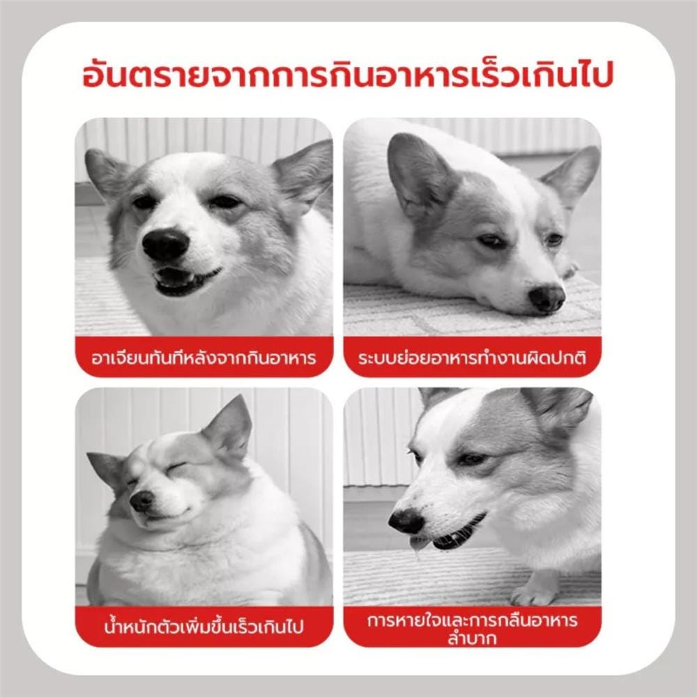 ชามอาหารสัตว์เลี้ยง PETSTAR PSRQ0234 สีเงิน