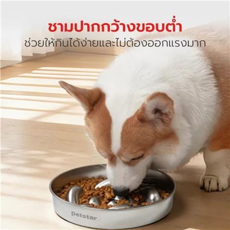ชามอาหารสัตว์เลี้ยง PETSTAR PSRQ0234 สีเงิน_2