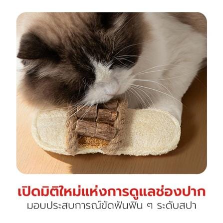 ของเล่น อมยิ้ม PETSTAR PSTZ0483_3