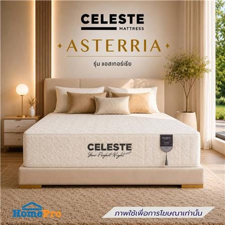 ที่นอนยางพารา 3.5 ฟุต CELESTE MATTRESS ASTERRIA (พร้อมชุดเครื่องนอน 7 ชิ้น)_3