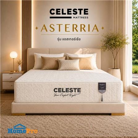 ที่นอนยางพารา 6 ฟุต CELESTE MATTRESS ASTERRIA (พร้อมชุดเครื่องนอน 10 ชิ้น)_3