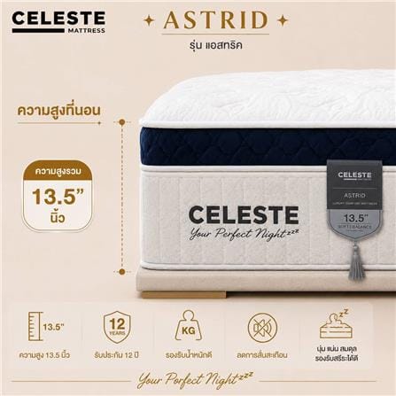 ที่นอนพ็อกเก็ตสปริง 3.5 ฟุต CELESTE MATTRESS ASTRID (พร้อมชุดเครื่องนอน 7 ชิ้น)_6