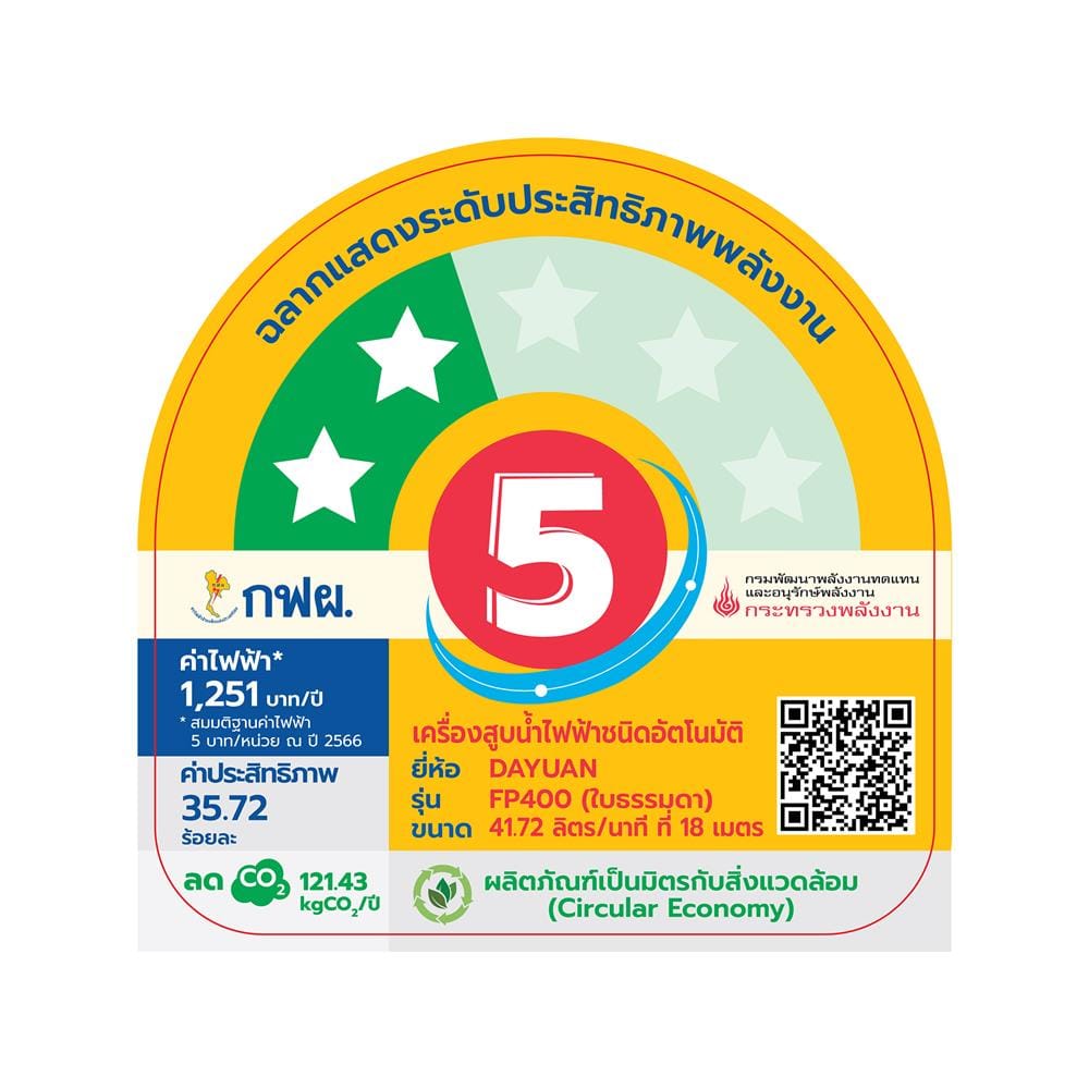 ปั๊มอัตโนมัติแบบแม่เหล็กถาวร DAYUAN PUMP FP400 400 วัตต์
