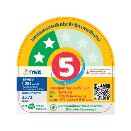 ปั๊มอัตโนมัติแบบแม่เหล็กถาวร DAYUAN PUMP FP400 400 วัตต์_5