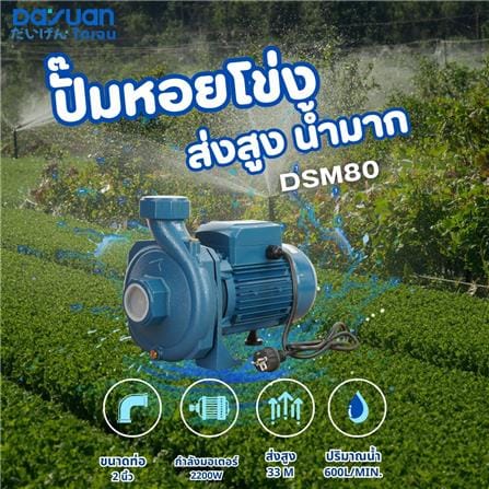 ปั๊มหอยโข่ง DAYUAN PUMP DSM80 3 แรงม้า_3