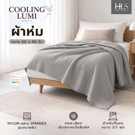 ผ้าห่ม  HOME LIVING STYLE COOLING LUMI 60x80 นิ้ว สี GREY_5
