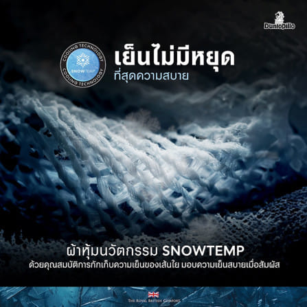 ที่นอนโฟม สุญญากาศ 3.5 ฟุต DUNLOPILLO MAJESTA FROST (พร้อมหมอนหนุน 1 ใบ)_3
