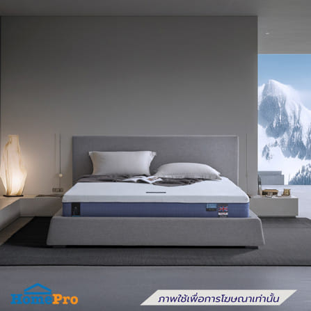 ที่นอนโฟม สุญญากาศ 3.5 ฟุต DUNLOPILLO MAJESTA FROST (พร้อมหมอนหนุน 1 ใบ)_2