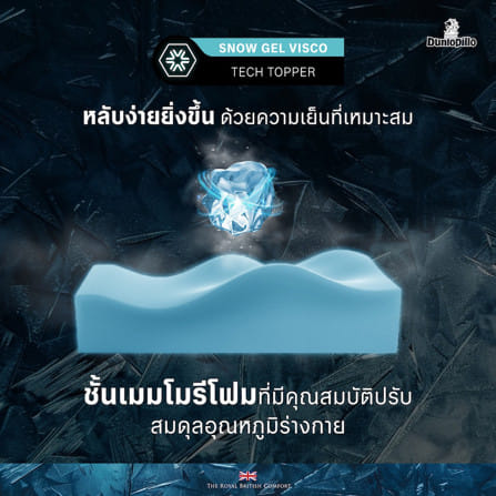 ที่นอนโฟม สุญญากาศ 3.5 ฟุต DUNLOPILLO MAJESTA FROST (พร้อมหมอนหนุน 1 ใบ)_8