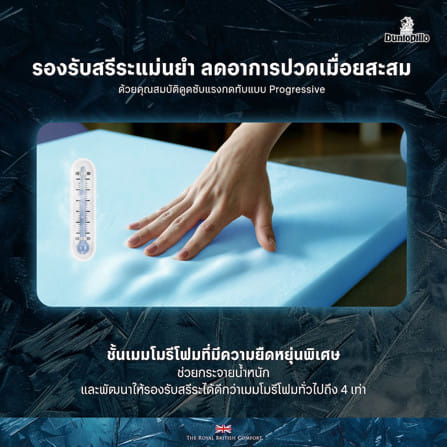 ที่นอนโฟม สุญญากาศ 3.5 ฟุต DUNLOPILLO MAJESTA FROST (พร้อมหมอนหนุน 1 ใบ)_9