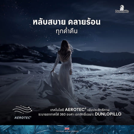 ที่นอนโฟม สุญญากาศ 3.5 ฟุต DUNLOPILLO MAJESTA FROST (พร้อมหมอนหนุน 1 ใบ)_11