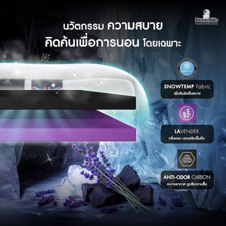 ที่นอนยางพารา 5 ฟุต DUNLOPILLO VIRGO_3