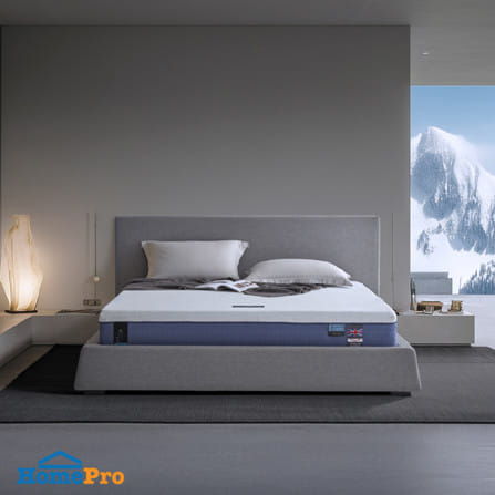 ที่นอนโฟม สุญญากาศ 6 ฟุต DUNLOPILLO MAJESTA FROST (พร้อมหมอนหนุน 2 ใบ)_2