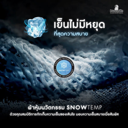 ที่นอนยางพารา 3  ฟุต DUNLOPILLO VIRGO_10
