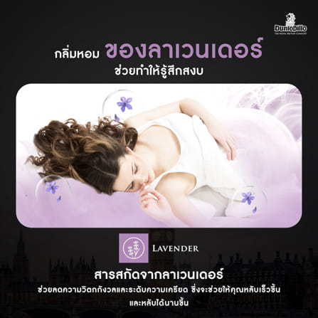 ที่นอนยางพารา 3  ฟุต DUNLOPILLO VIRGO_12