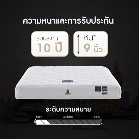 ที่นอนยางพารา 6 ฟุต DUNLOPILLO VIRGO_15