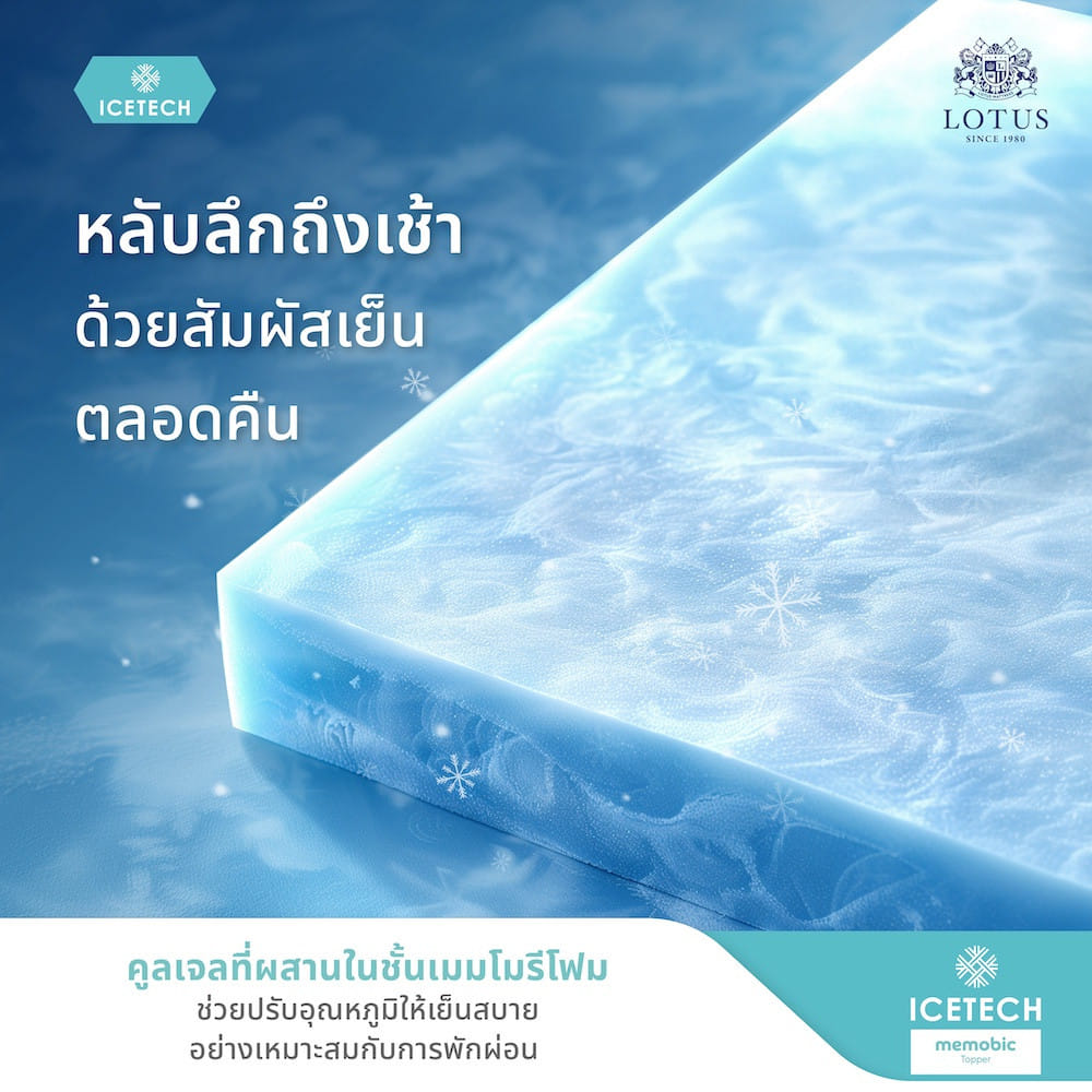 ที่นอนยางพารา 6 ฟุต LOTUS EVERLY