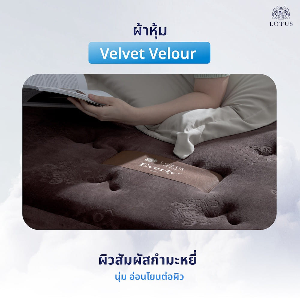 ที่นอนยางพารา 6 ฟุต LOTUS EVERLY