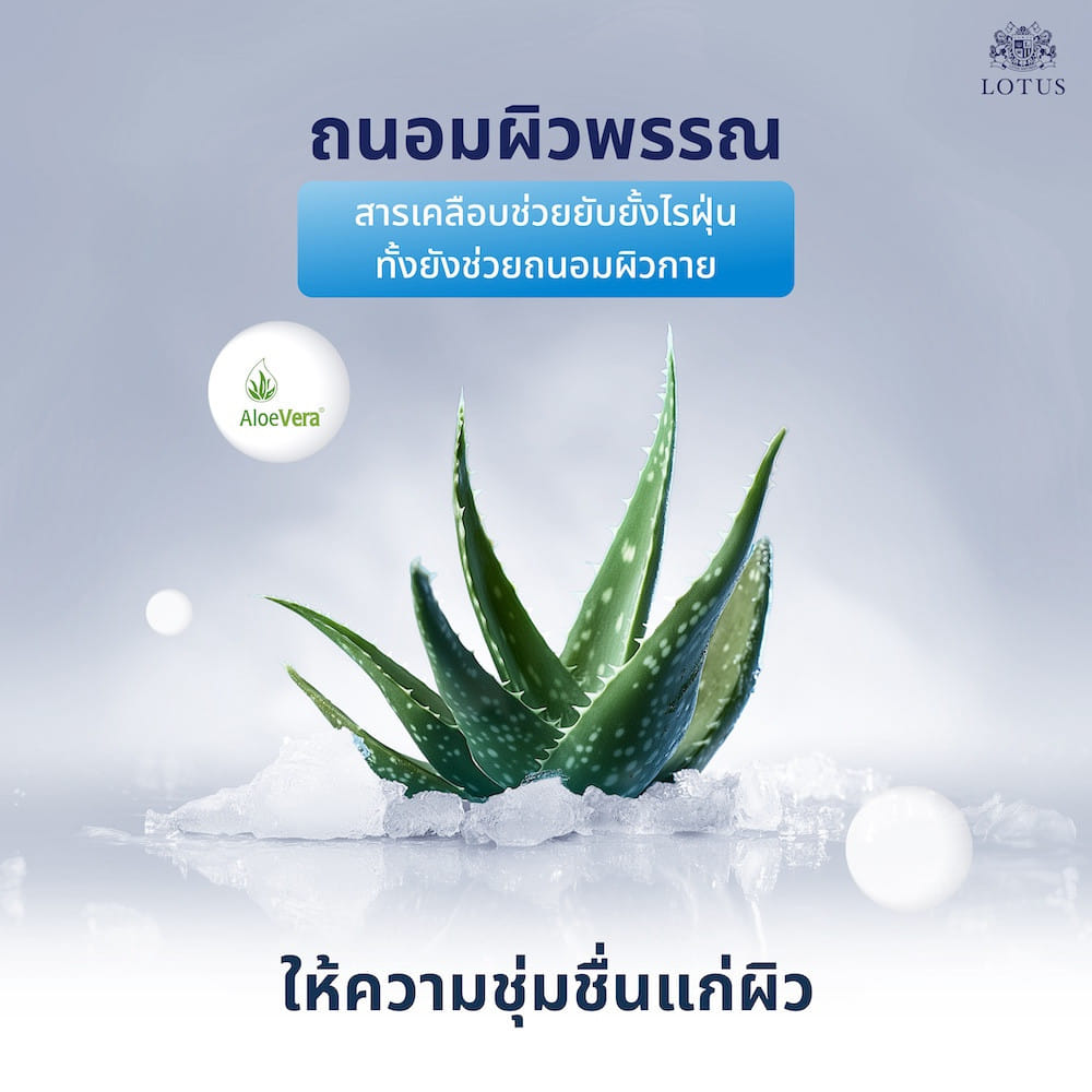 ที่นอนยางพารา 6 ฟุต LOTUS EVERLY