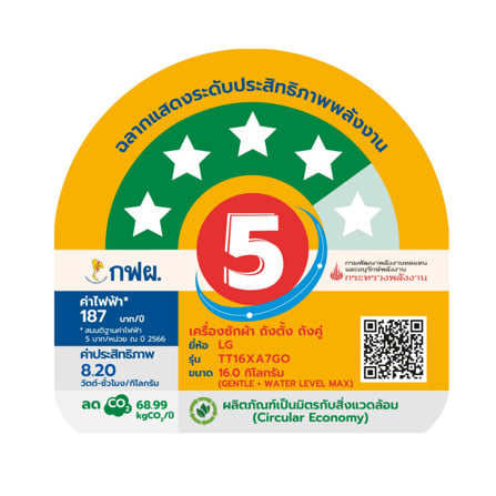 เครื่องซักผ้า 2 ถัง LG TT16XA7GO 16 กก. สีดำ_5