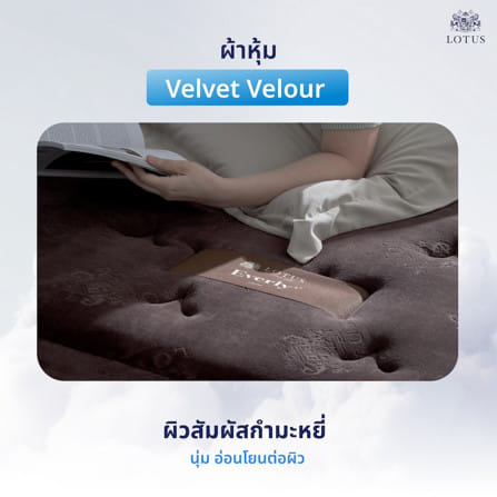 ที่นอนยางพารา 3 ฟุต LOTUS EVERLY_10