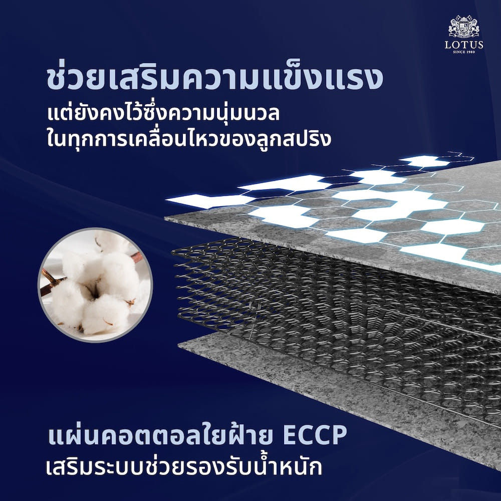 ที่นอนสปริง 5 ฟุต LOTUS PRECISE II PLUS สี WHITE (พร้อมหมอนหนุน 2 ใบ)