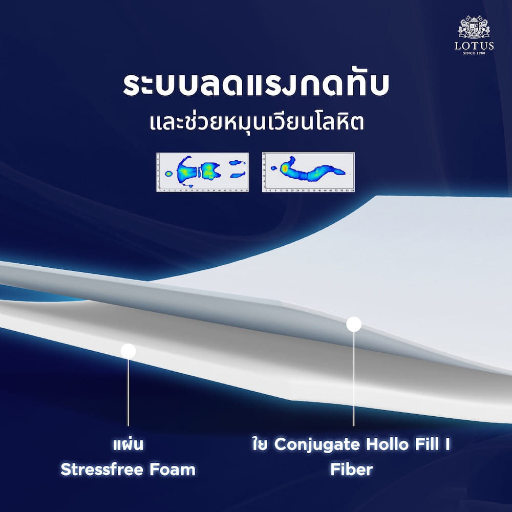 ที่นอนสปริง 5 ฟุต LOTUS PRECISE II PLUS สี WHITE (พร้อมหมอนหนุน 2 ใบ)